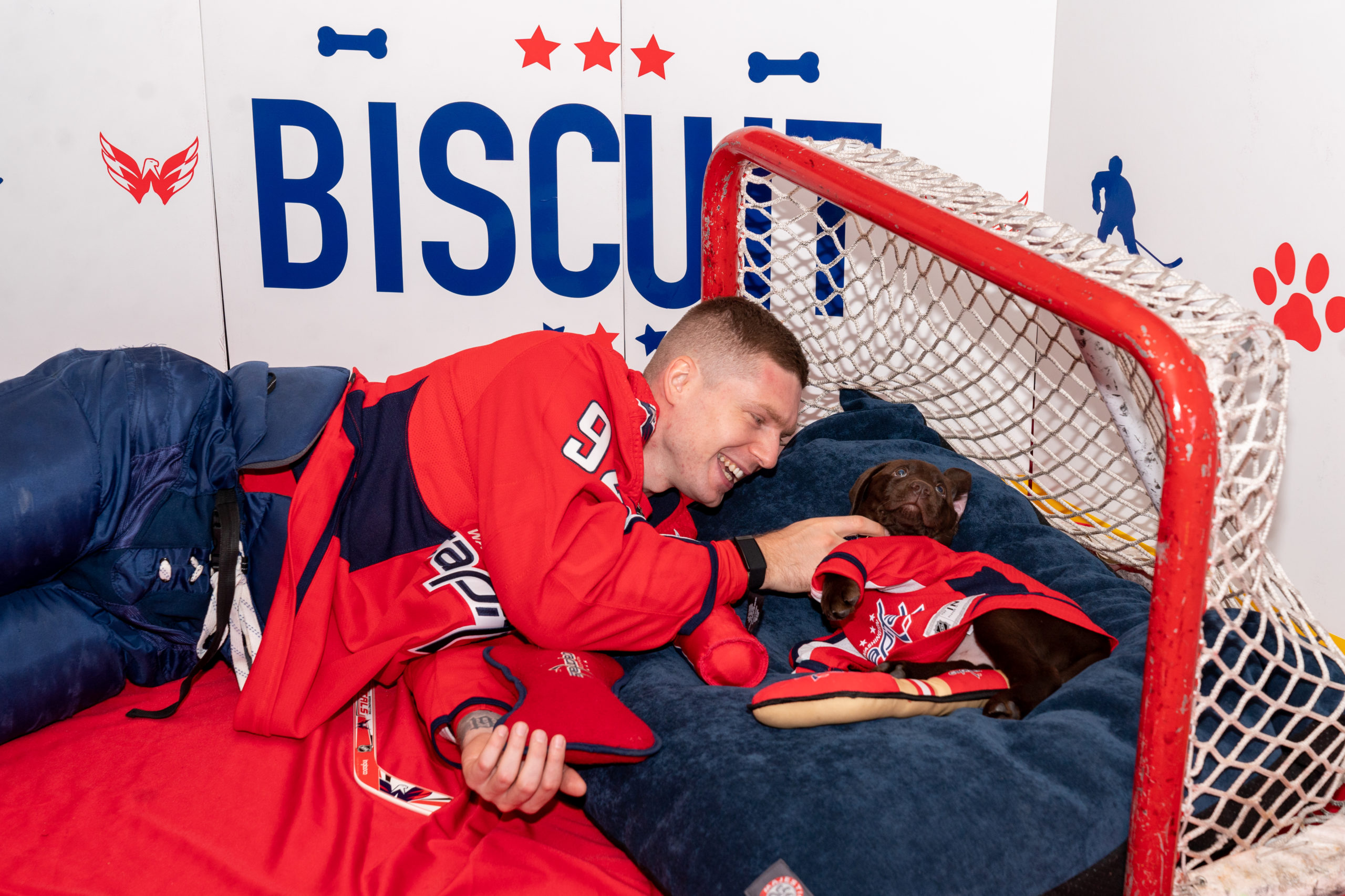 The Capitals have a new team dog named Biscuit.
