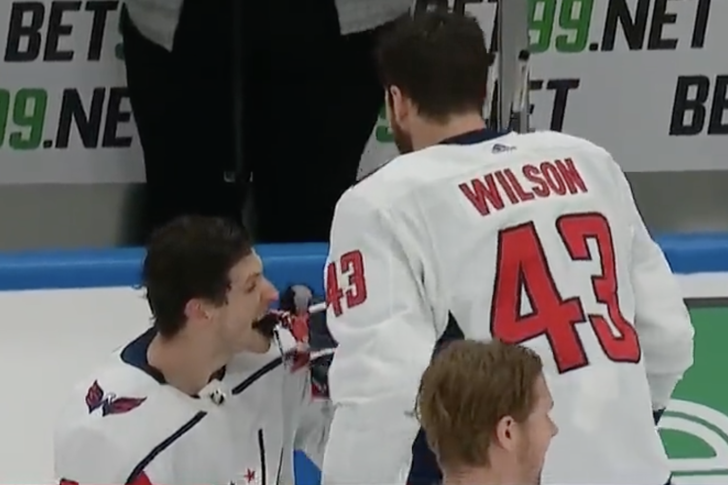 Capitals Tom Wilson and Nic Dowd