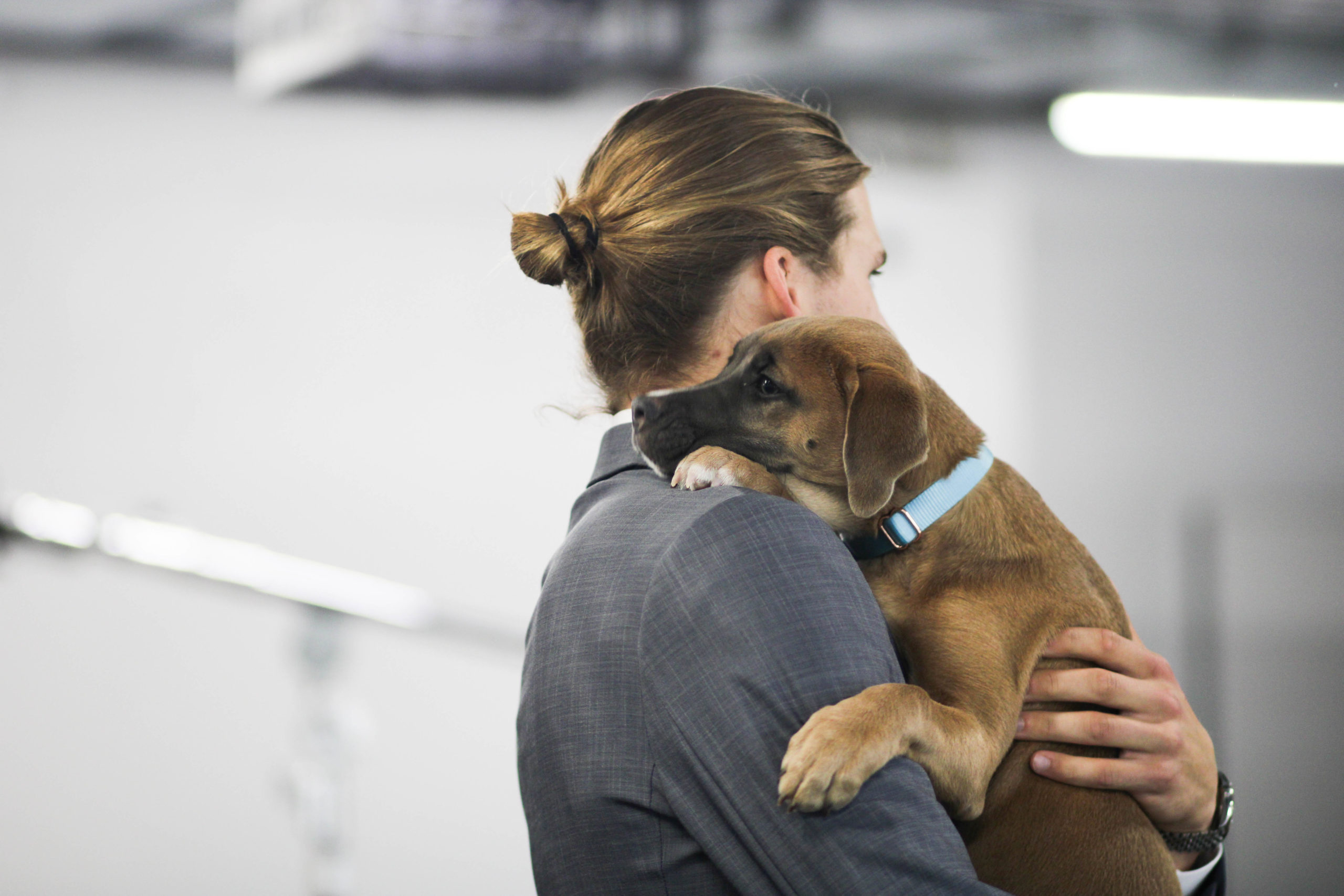 The Washington Capitals posed with adorable puppies for a calendar