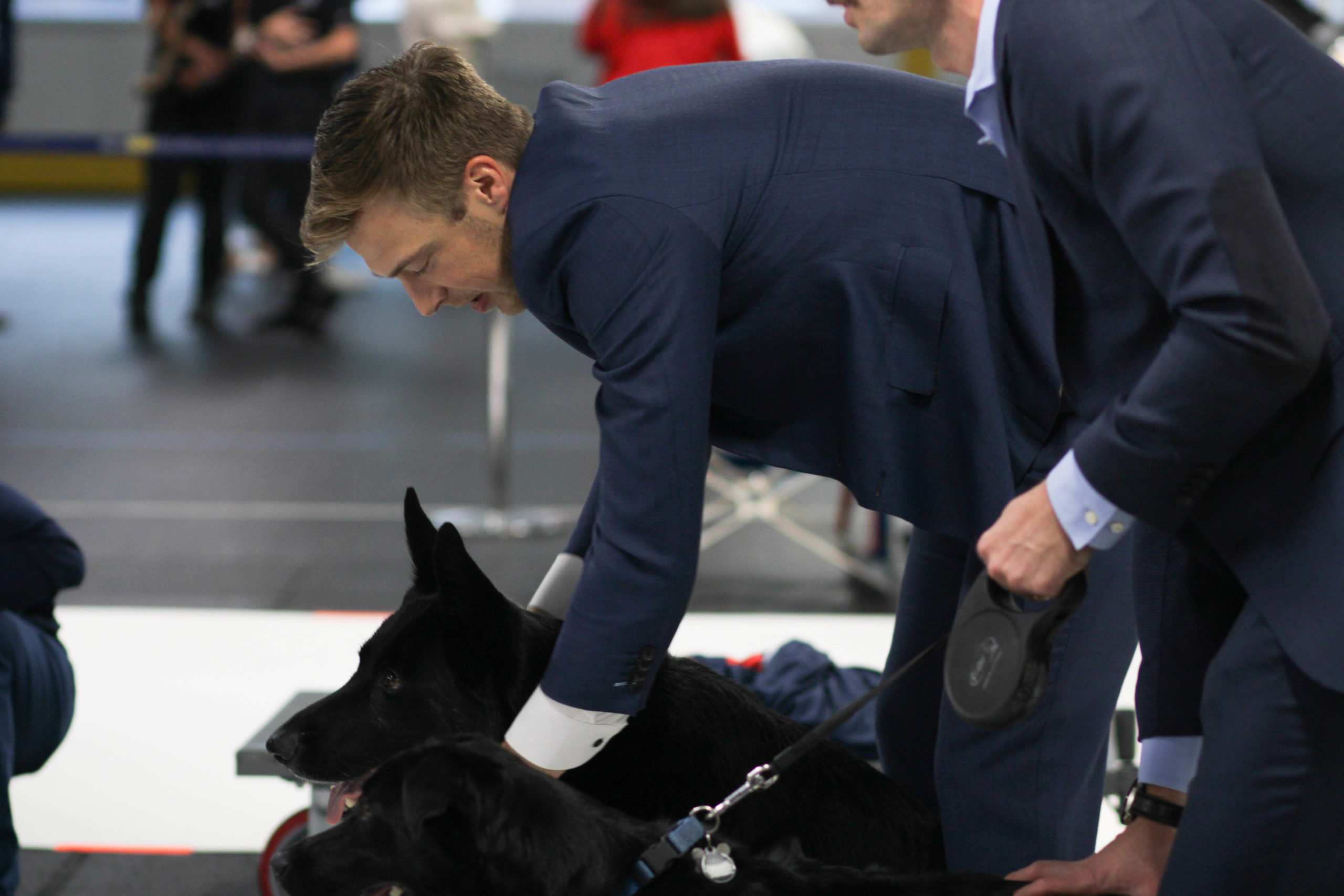 Washington Capitals are gearing up for another awesome canine calendar