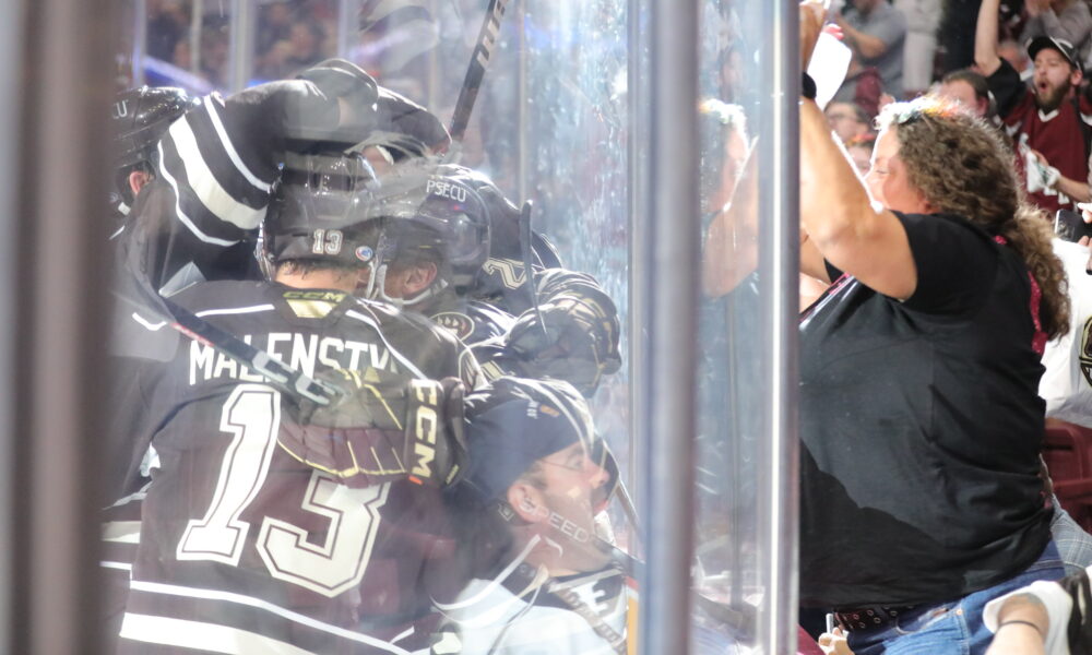 The Hershey Bears celebrate a goal in Game 2 of 2023 Calder Cup Playoffs' Eastern Conference Finals. (Tori Hartman/Hershey Bears)